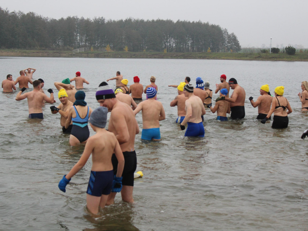 Czekają na zimę, ale wskoczyli już do wody. Morsy rozpoczęły chłodne kąpiele