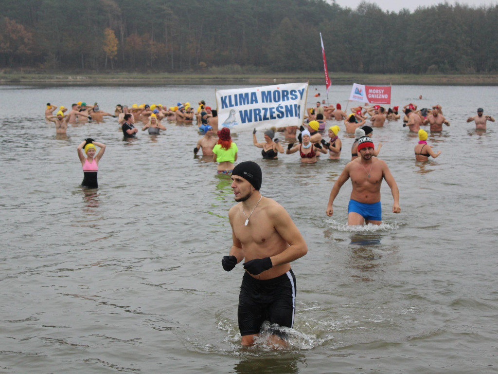 Czekają na zimę, ale wskoczyli już do wody. Morsy rozpoczęły chłodne kąpiele