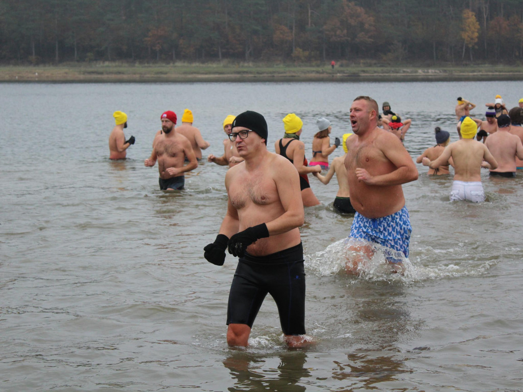 Czekają na zimę, ale wskoczyli już do wody. Morsy rozpoczęły chłodne kąpiele