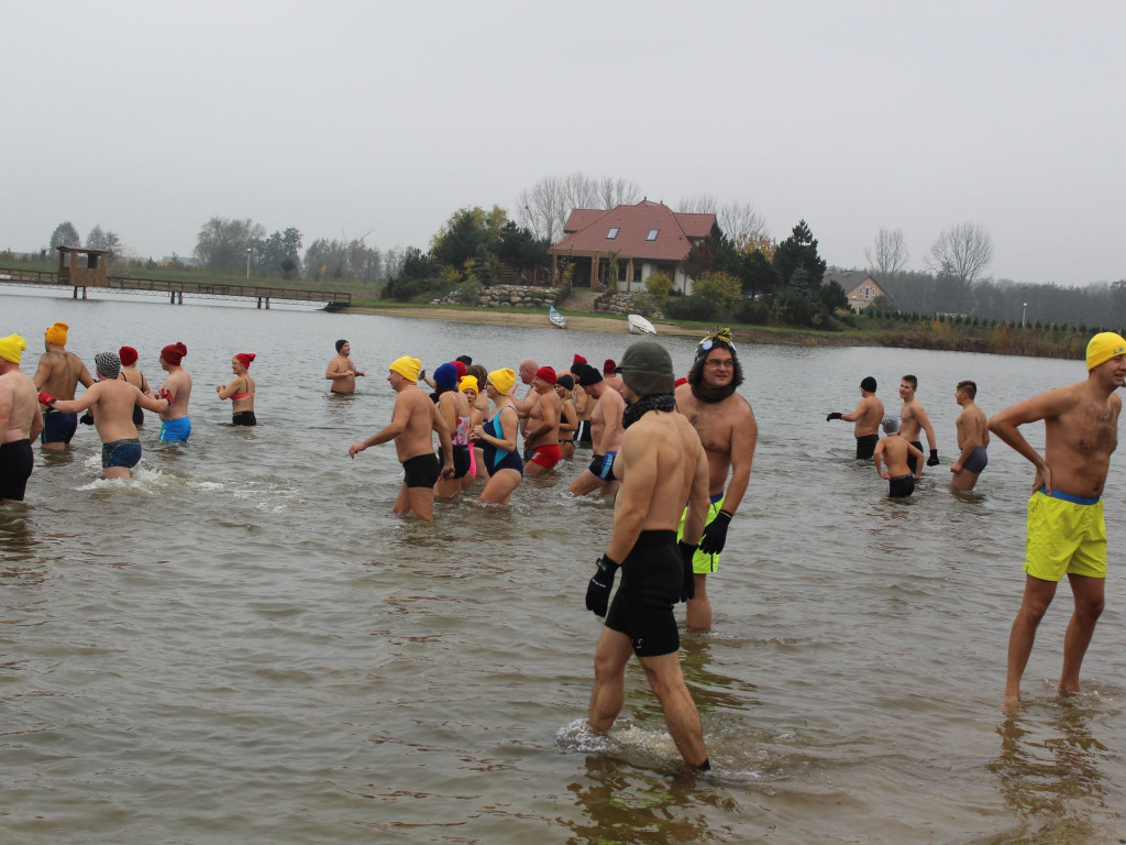 Czekają na zimę, ale wskoczyli już do wody. Morsy rozpoczęły chłodne kąpiele