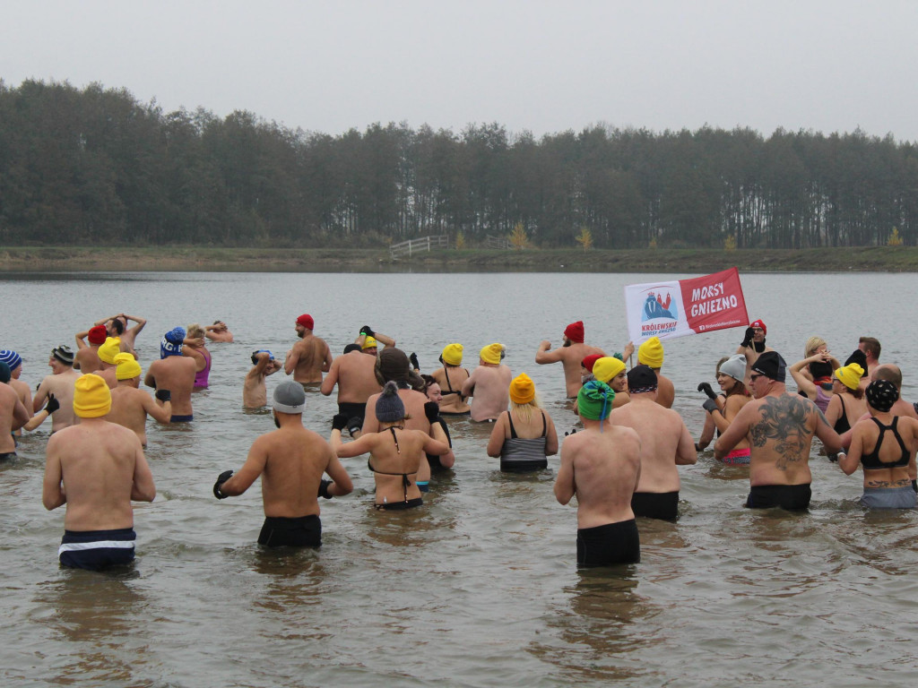 Czekają na zimę, ale wskoczyli już do wody. Morsy rozpoczęły chłodne kąpiele