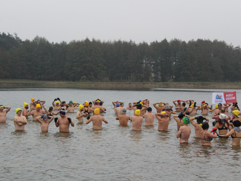 Czekają na zimę, ale wskoczyli już do wody. Morsy rozpoczęły chłodne kąpiele