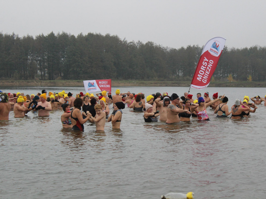 Czekają na zimę, ale wskoczyli już do wody. Morsy rozpoczęły chłodne kąpiele