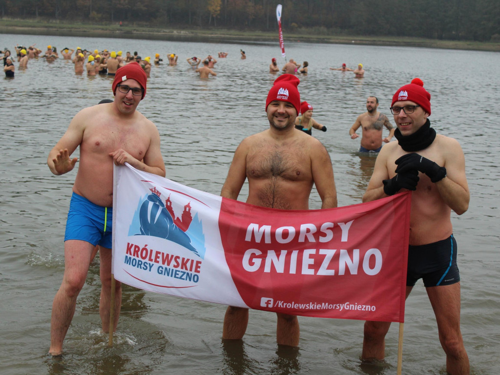 Czekają na zimę, ale wskoczyli już do wody. Morsy rozpoczęły chłodne kąpiele