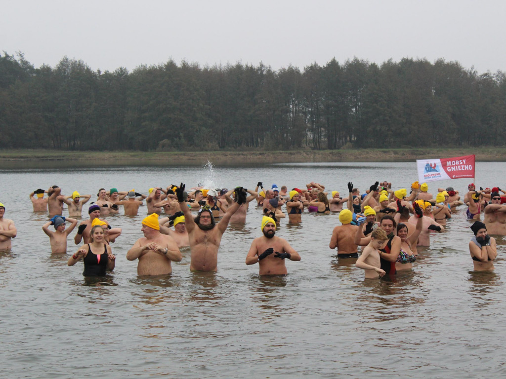Czekają na zimę, ale wskoczyli już do wody. Morsy rozpoczęły chłodne kąpiele