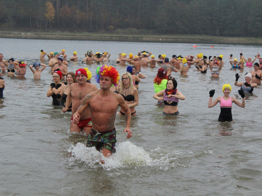 Czekają na zimę, ale wskoczyli już do wody. Morsy rozpoczęły chłodne kąpiele