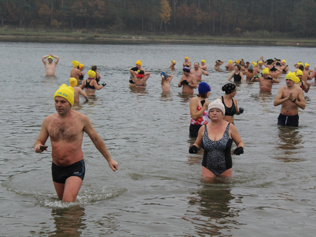 Czekają na zimę, ale wskoczyli już do wody. Morsy rozpoczęły chłodne kąpiele