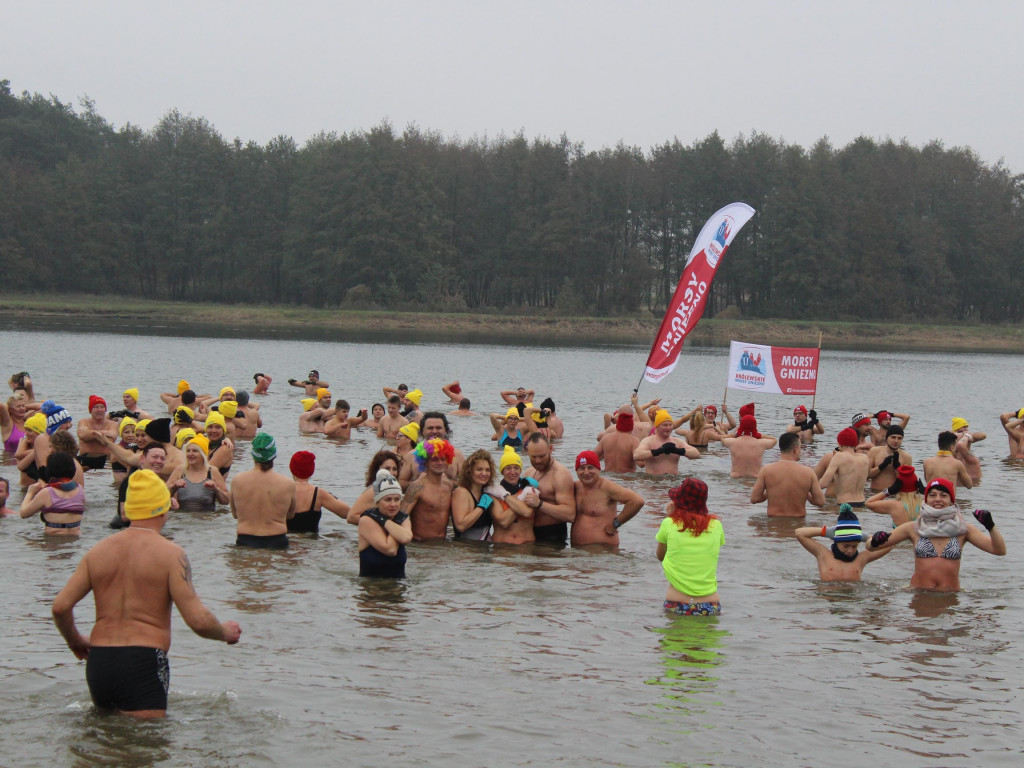 Czekają na zimę, ale wskoczyli już do wody. Morsy rozpoczęły chłodne kąpiele