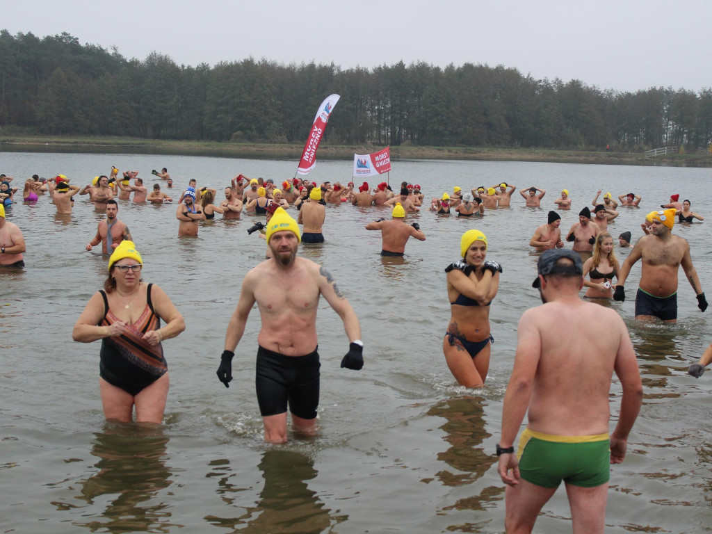 Czekają na zimę, ale wskoczyli już do wody. Morsy rozpoczęły chłodne kąpiele