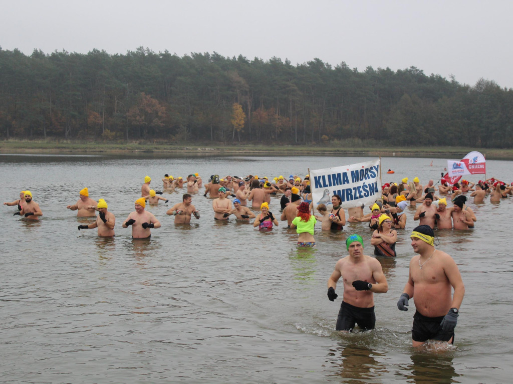 Czekają na zimę, ale wskoczyli już do wody. Morsy rozpoczęły chłodne kąpiele