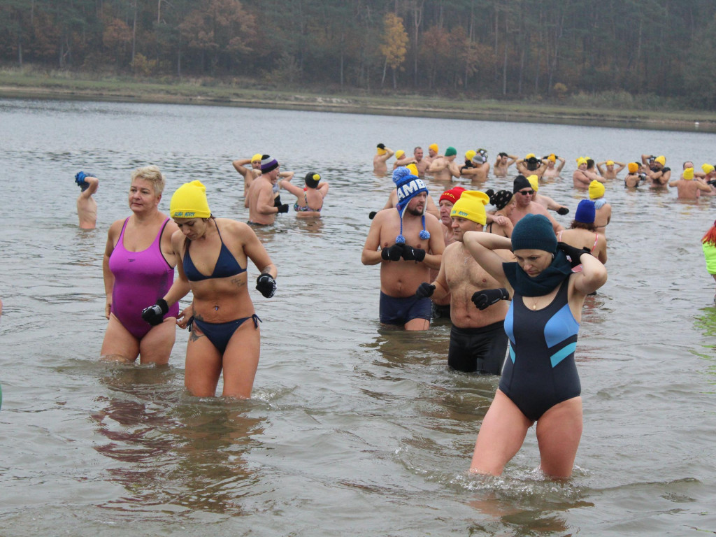Czekają na zimę, ale wskoczyli już do wody. Morsy rozpoczęły chłodne kąpiele