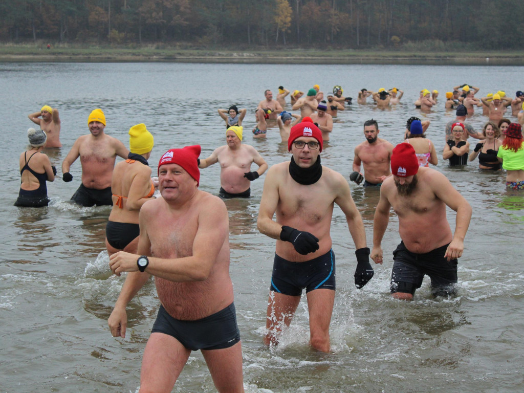 Czekają na zimę, ale wskoczyli już do wody. Morsy rozpoczęły chłodne kąpiele
