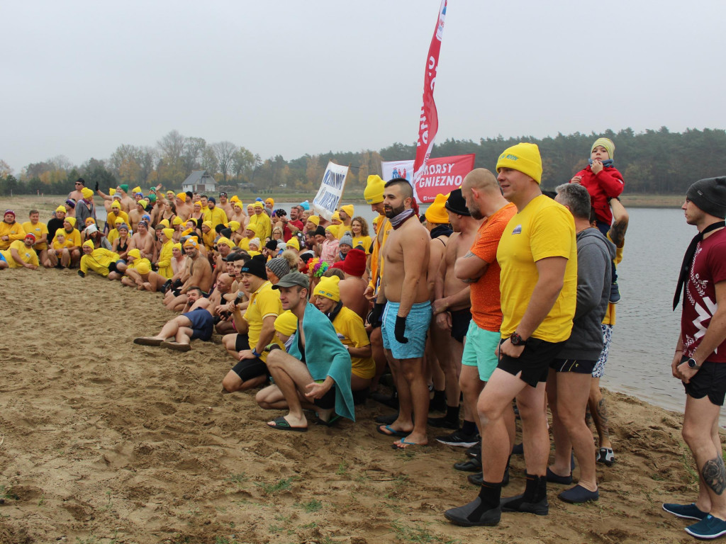 Czekają na zimę, ale wskoczyli już do wody. Morsy rozpoczęły chłodne kąpiele