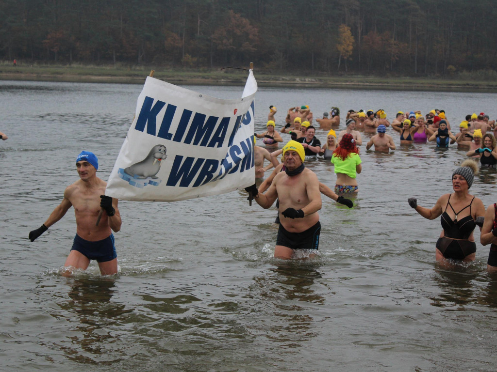 Czekają na zimę, ale wskoczyli już do wody. Morsy rozpoczęły chłodne kąpiele