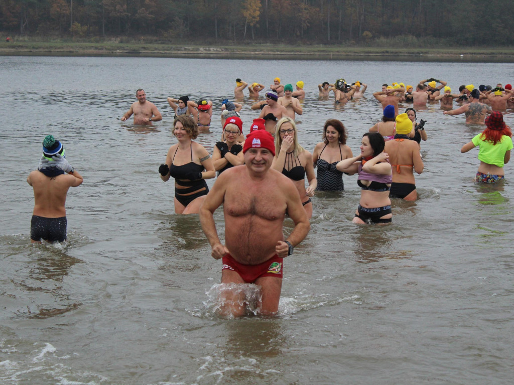 Czekają na zimę, ale wskoczyli już do wody. Morsy rozpoczęły chłodne kąpiele