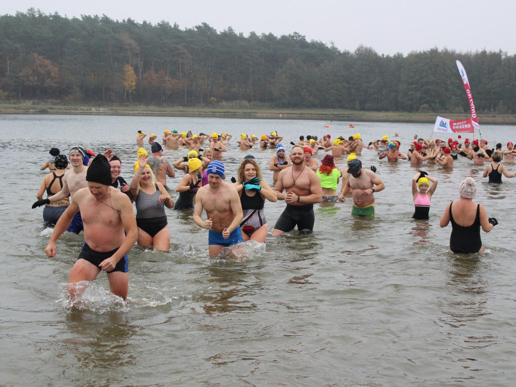 Czekają na zimę, ale wskoczyli już do wody. Morsy rozpoczęły chłodne kąpiele