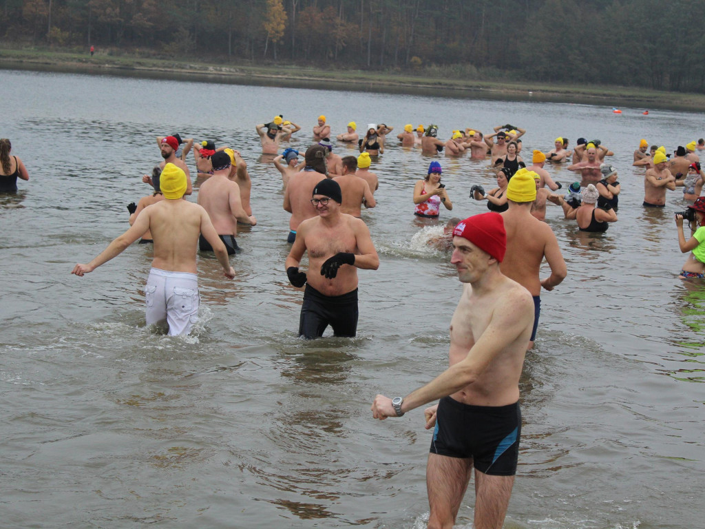 Czekają na zimę, ale wskoczyli już do wody. Morsy rozpoczęły chłodne kąpiele