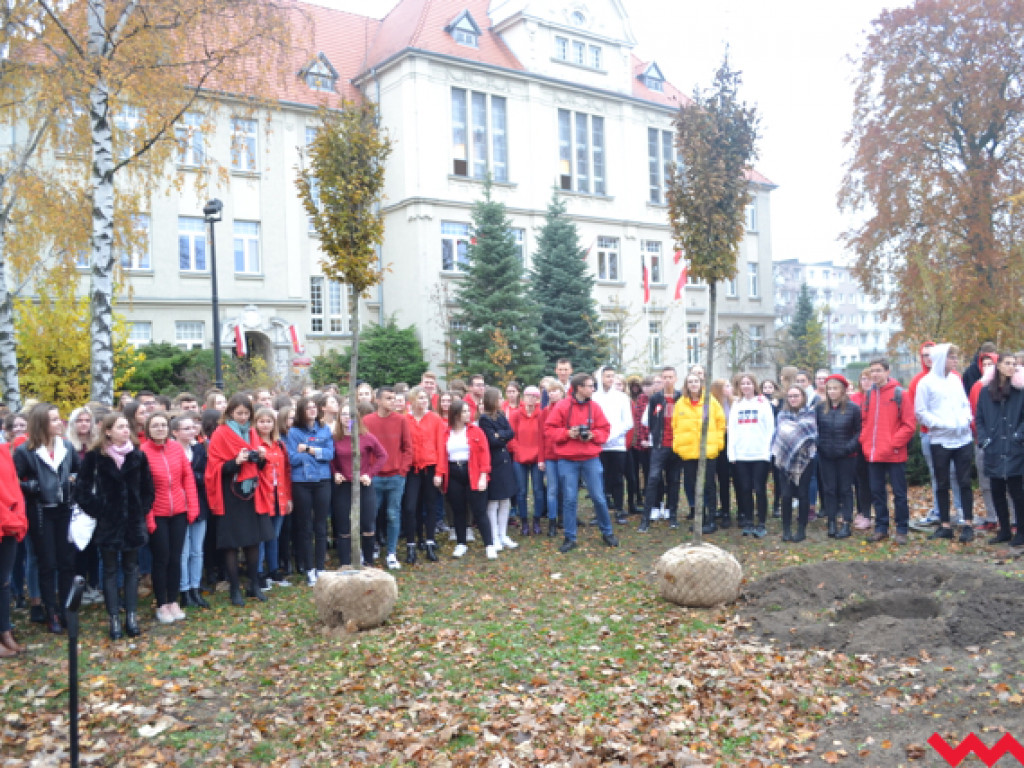 Akademie, śpiewy i akcje. Niepodległościowe poruszenie we wrzesińskich szkołach