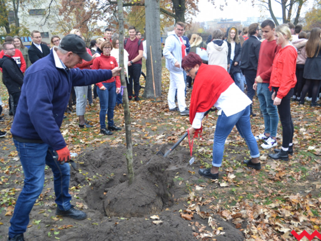 Akademie, śpiewy i akcje. Niepodległościowe poruszenie we wrzesińskich szkołach