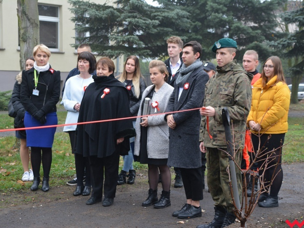 Moc patriotycznych wydarzeń w ZSTiO