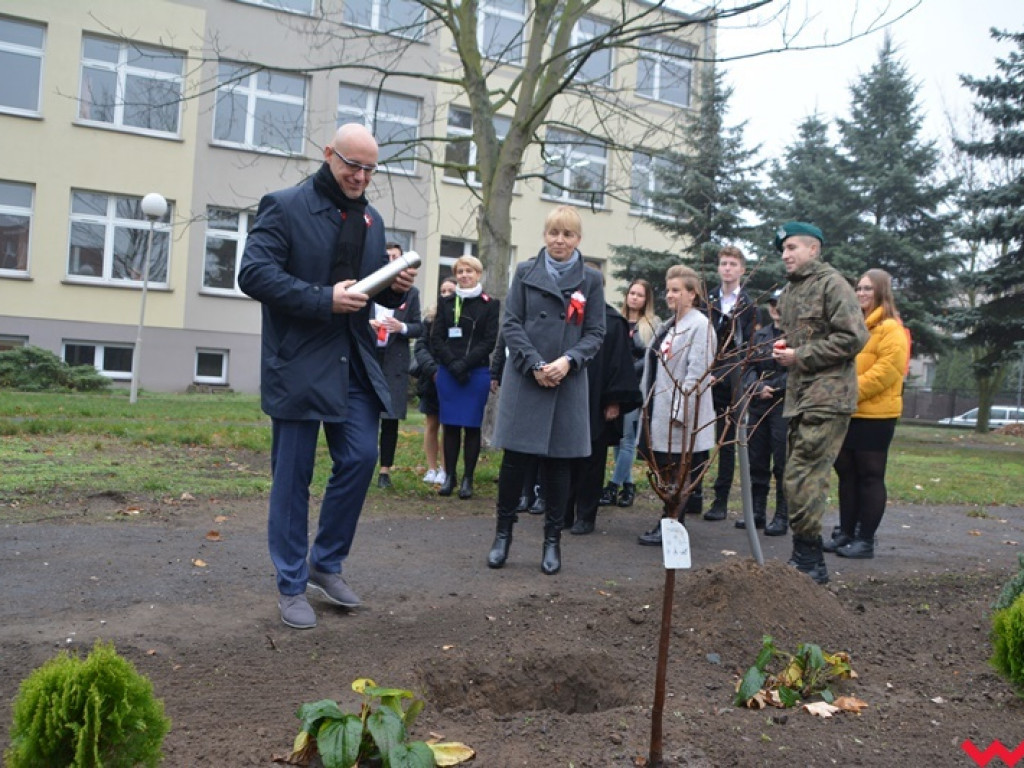 Moc patriotycznych wydarzeń w ZSTiO
