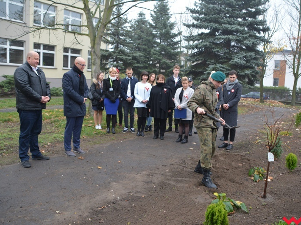 Moc patriotycznych wydarzeń w ZSTiO