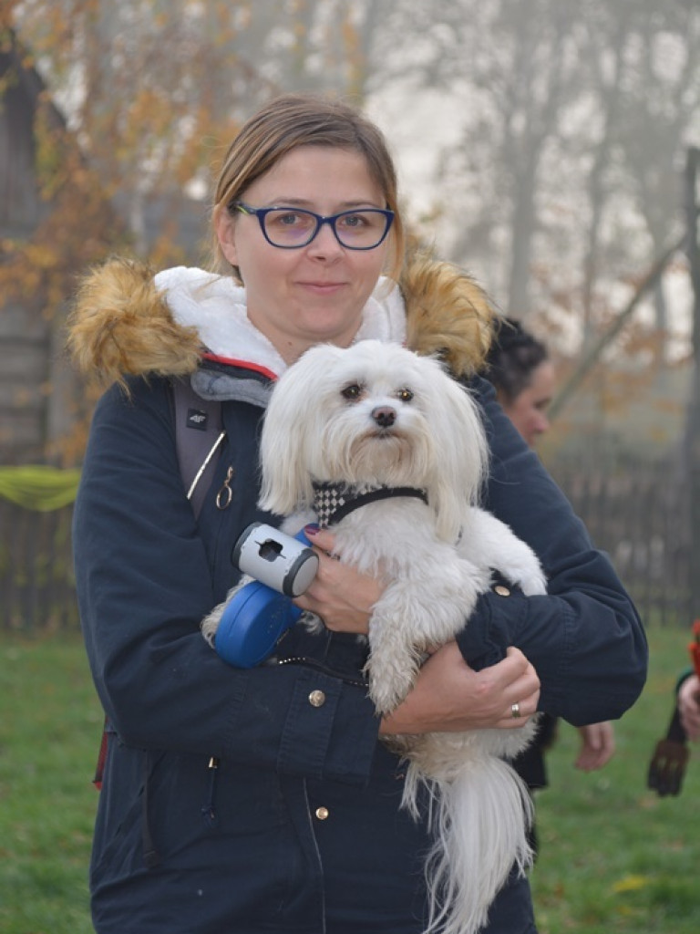 Na dzika? Tylko w Grzybowie i tylko z łukiem