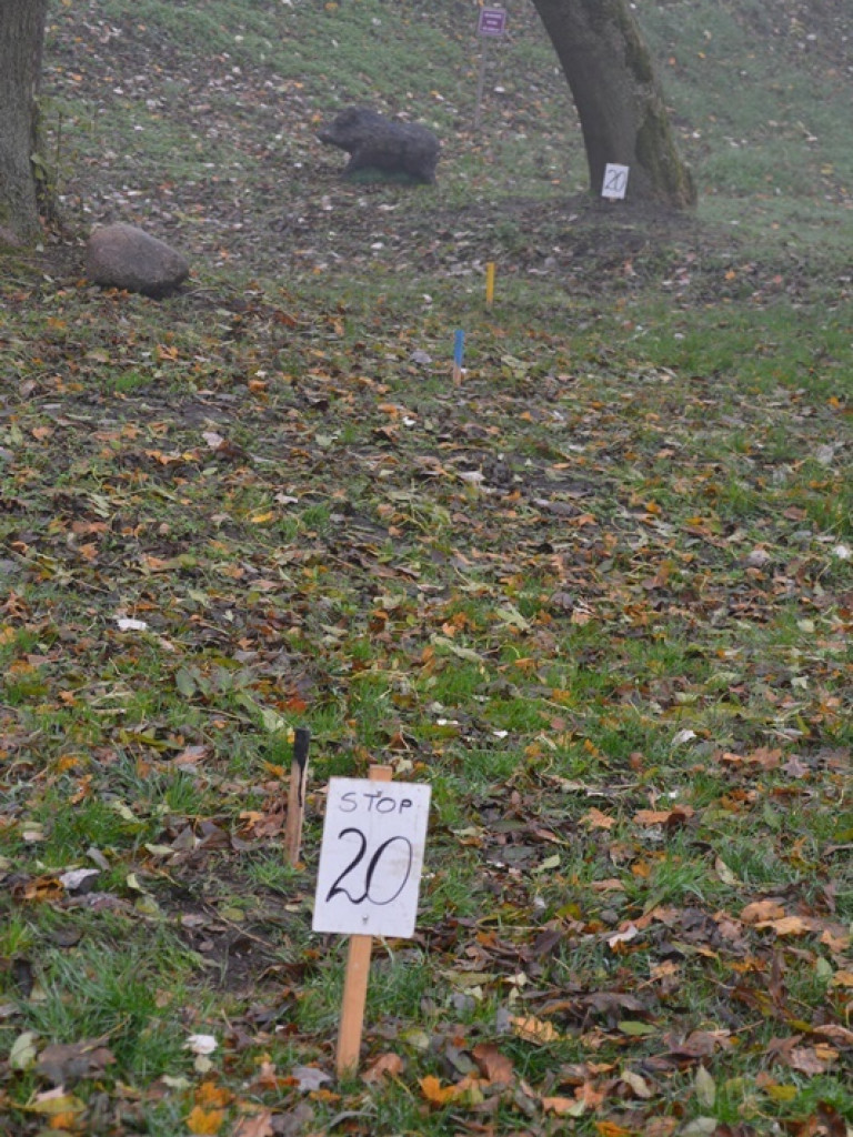 Na dzika? Tylko w Grzybowie i tylko z łukiem