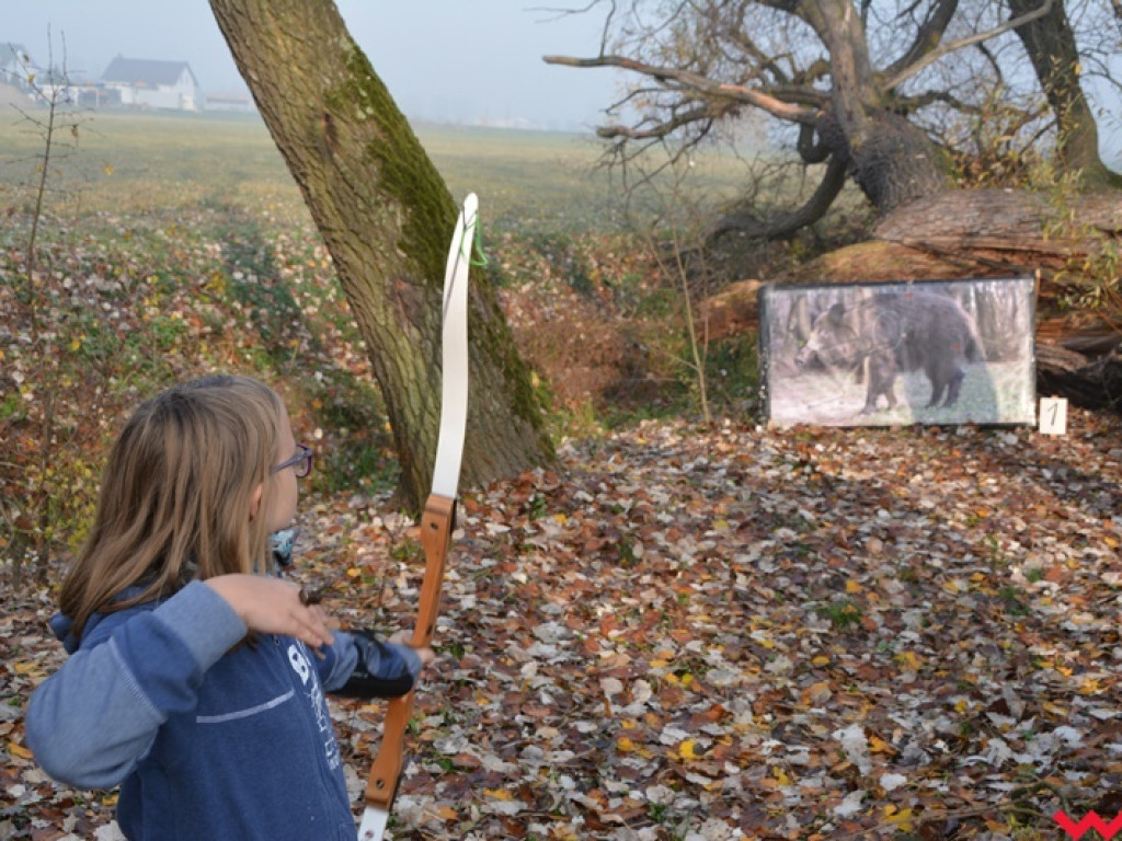 Na dzika? Tylko w Grzybowie i tylko z łukiem