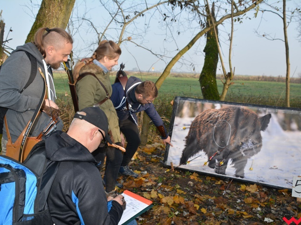 Na dzika? Tylko w Grzybowie i tylko z łukiem