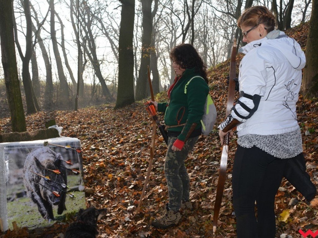 Na dzika? Tylko w Grzybowie i tylko z łukiem