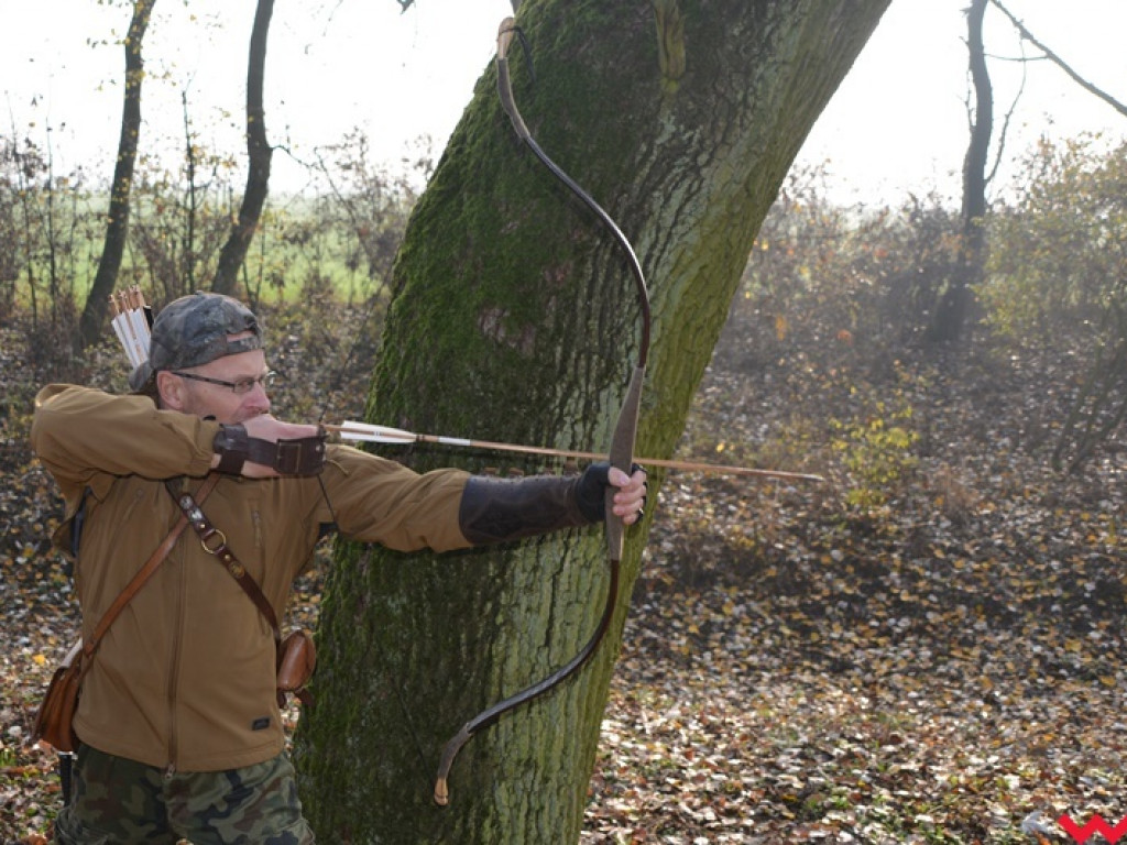 Na dzika? Tylko w Grzybowie i tylko z łukiem