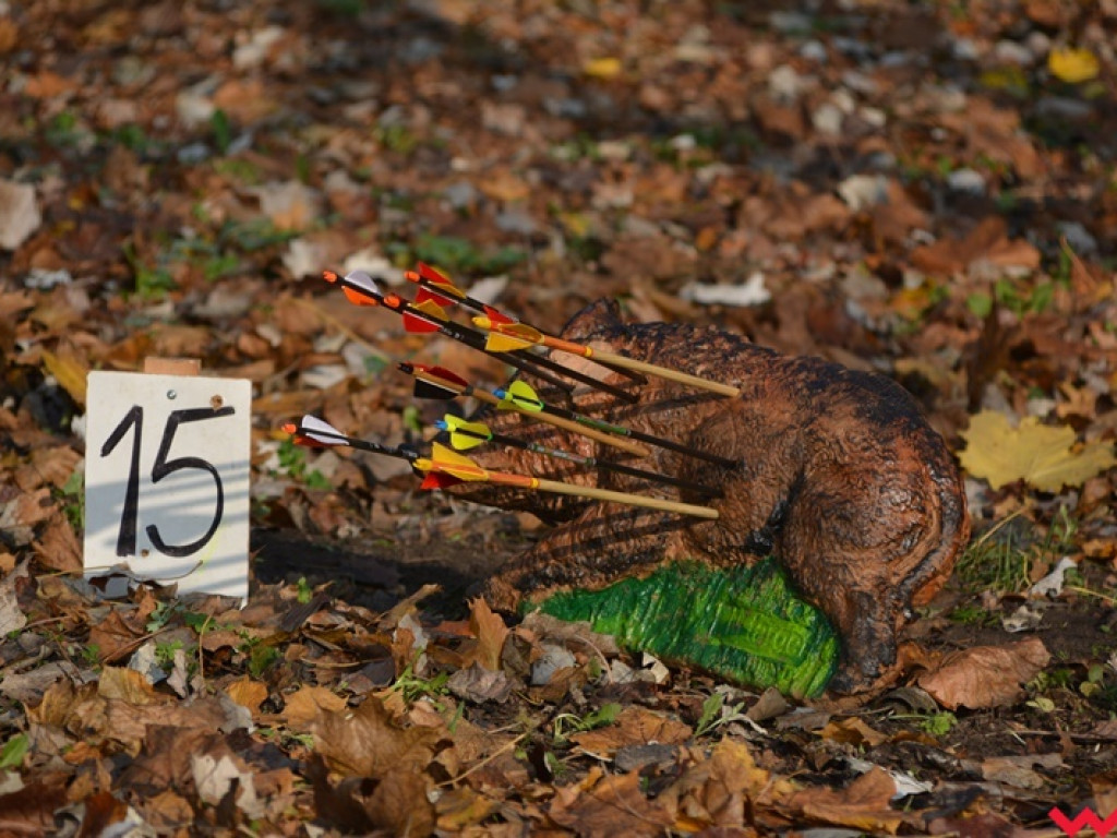 Na dzika? Tylko w Grzybowie i tylko z łukiem