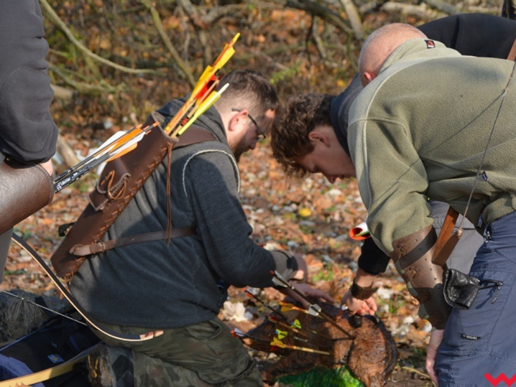 Na dzika? Tylko w Grzybowie i tylko z łukiem