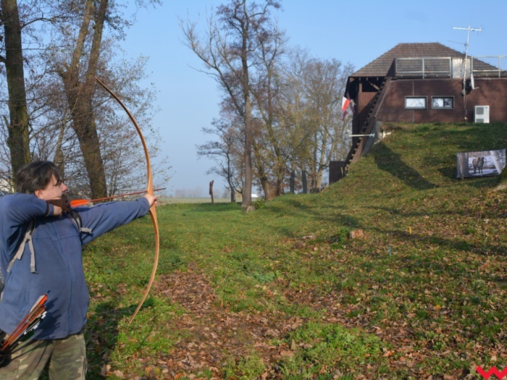 Na dzika? Tylko w Grzybowie i tylko z łukiem
