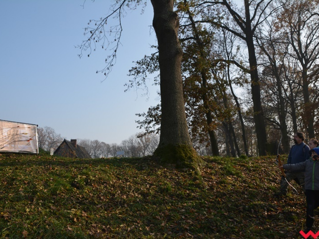 Na dzika? Tylko w Grzybowie i tylko z łukiem