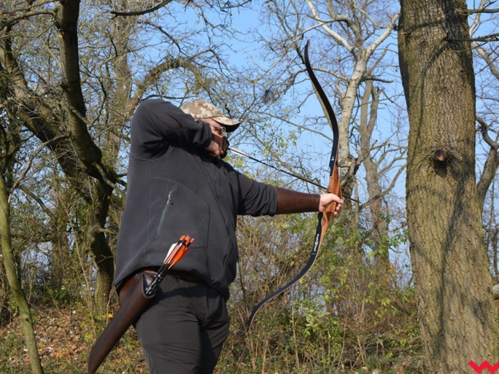 Na dzika? Tylko w Grzybowie i tylko z łukiem