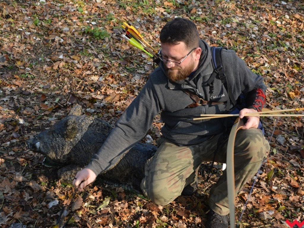 Na dzika? Tylko w Grzybowie i tylko z łukiem
