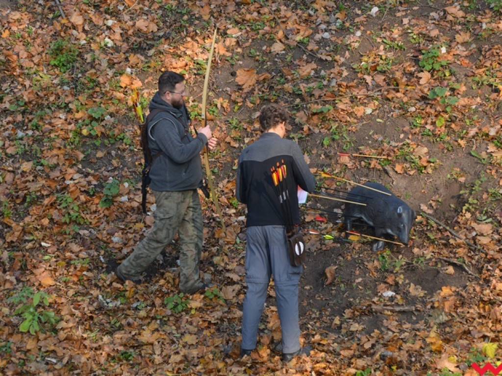 Na dzika? Tylko w Grzybowie i tylko z łukiem
