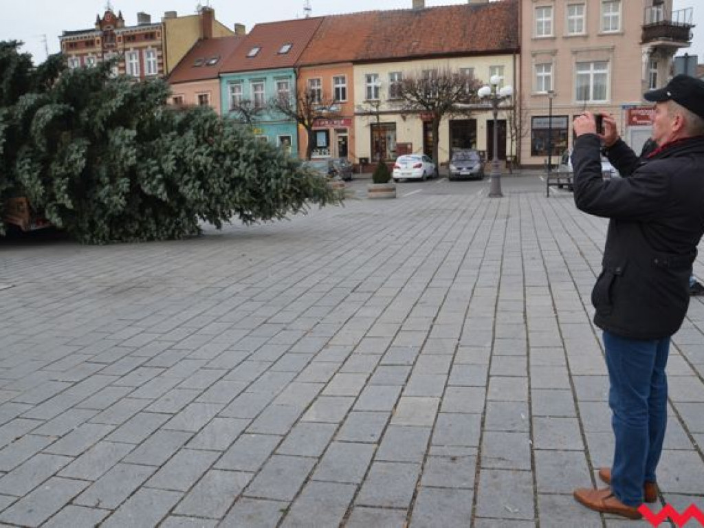 Września szykuje się do świąt. Na rynku stanęła już gigantyczna choinka