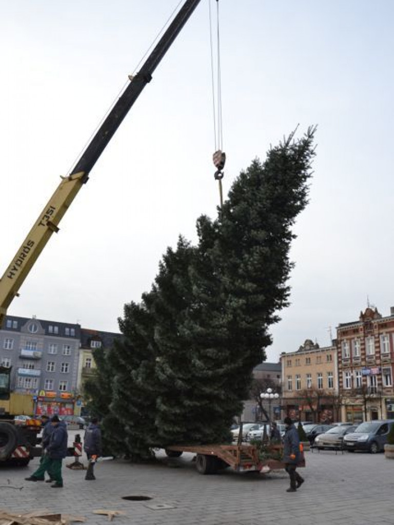 Września szykuje się do świąt. Na rynku stanęła już gigantyczna choinka