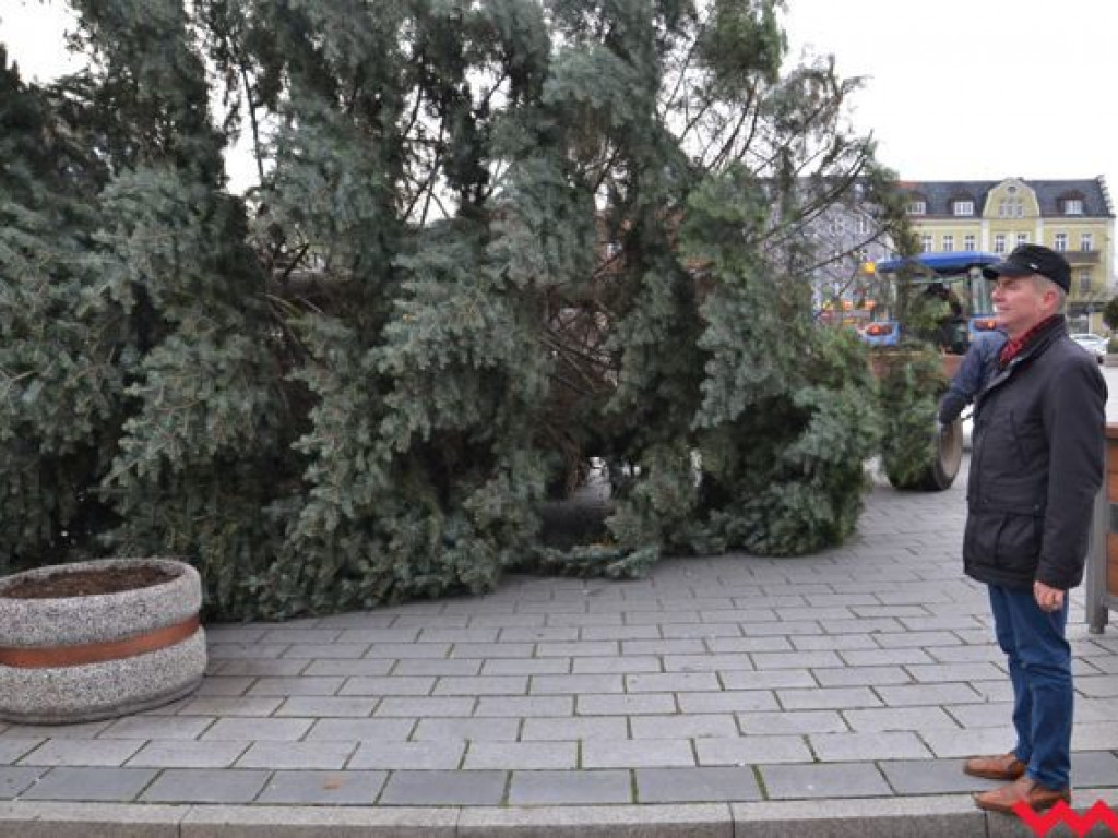 Września szykuje się do świąt. Na rynku stanęła już gigantyczna choinka