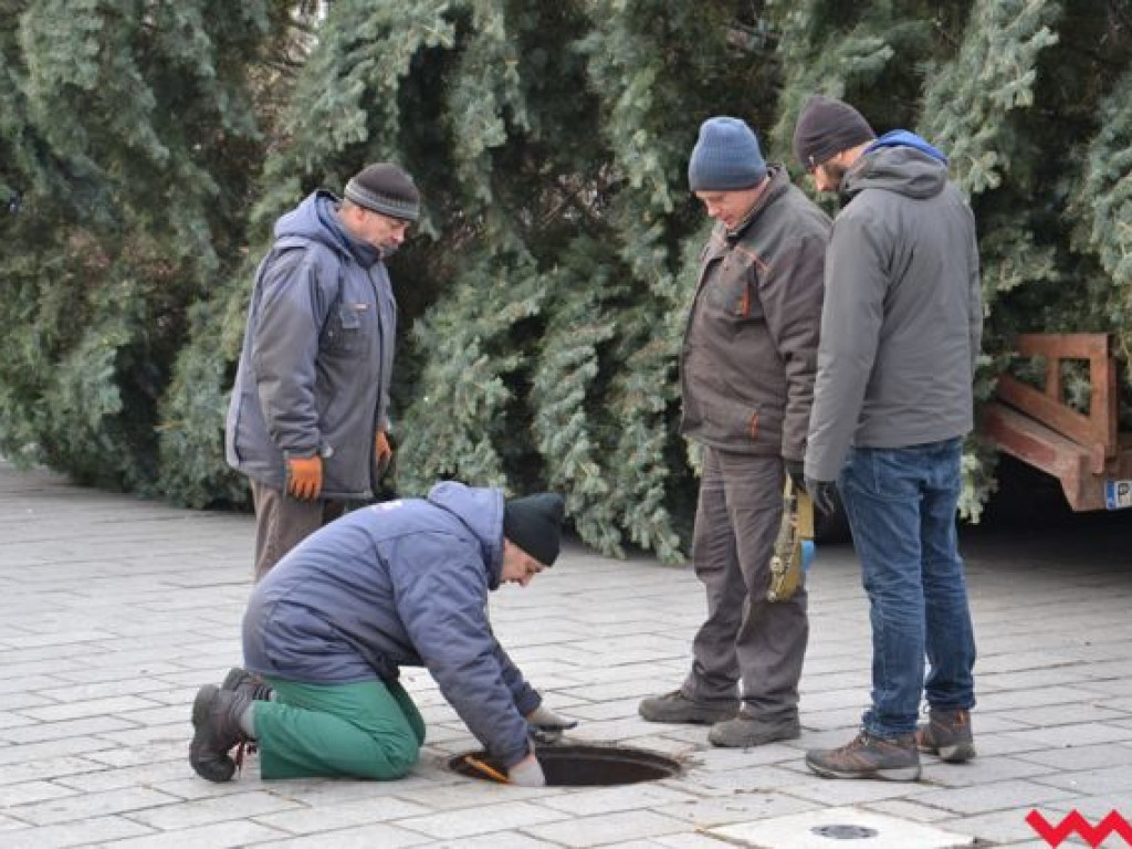 Września szykuje się do świąt. Na rynku stanęła już gigantyczna choinka