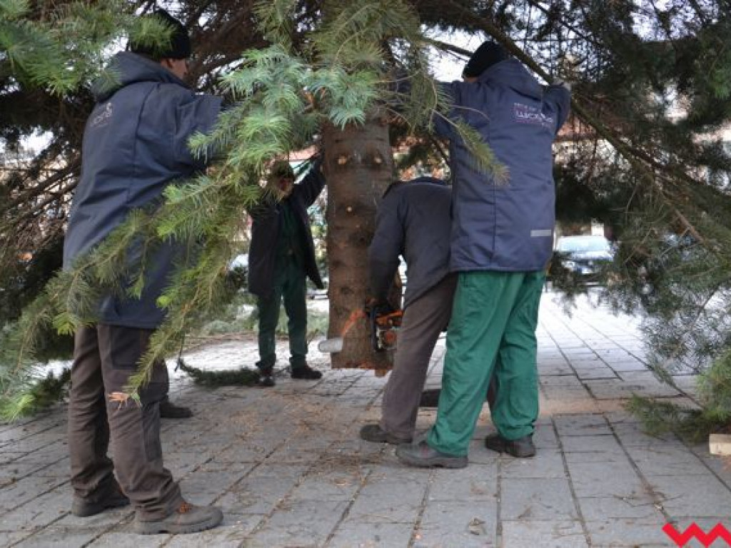 Września szykuje się do świąt. Na rynku stanęła już gigantyczna choinka