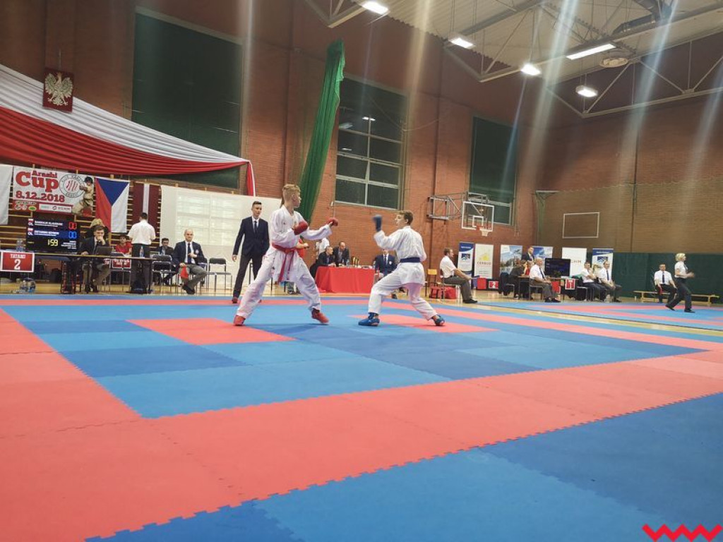 Dwa medale wrześnian. Kolejny dobry występ zawodników Wrzesińskiego Klubu Karate