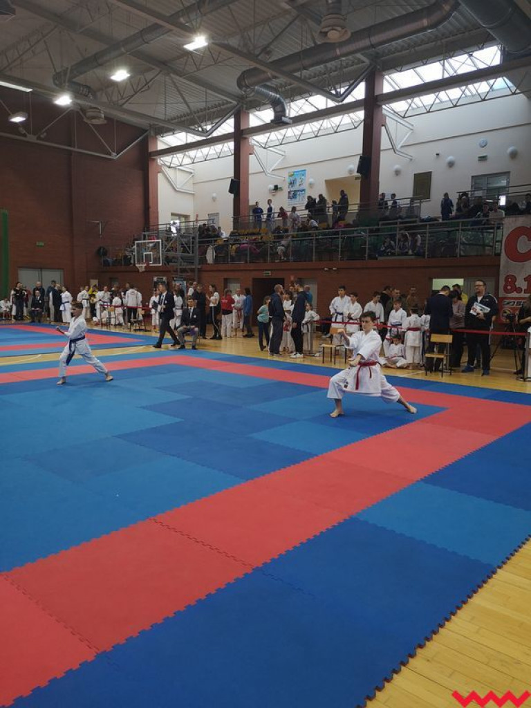 Dwa medale wrześnian. Kolejny dobry występ zawodników Wrzesińskiego Klubu Karate