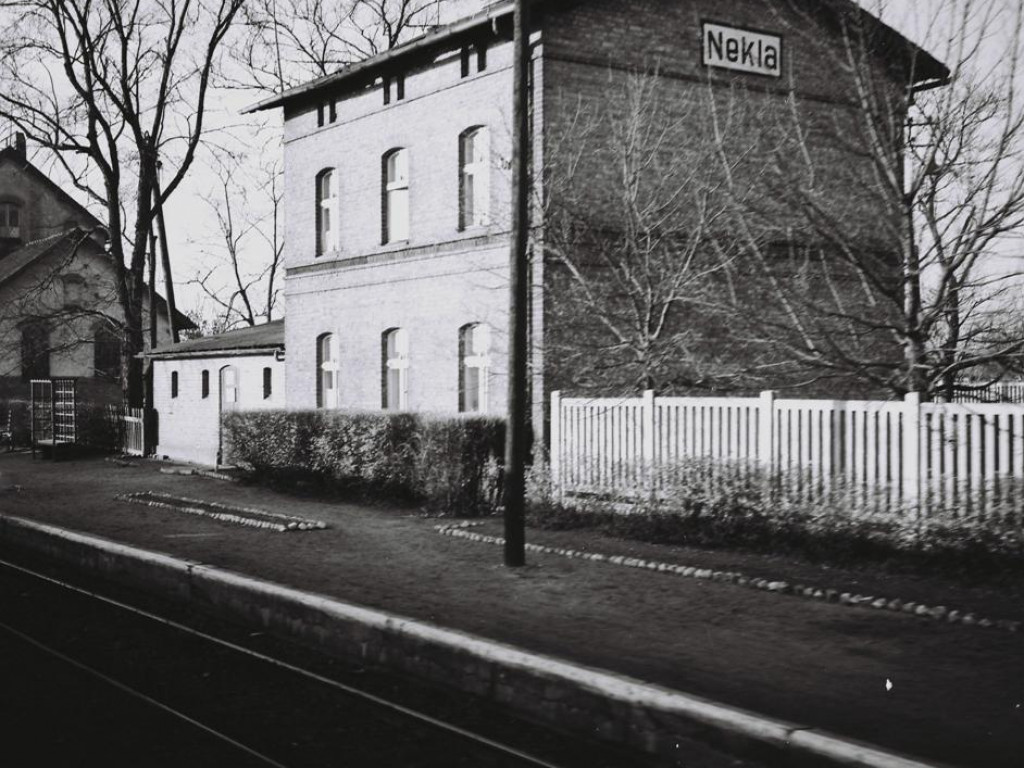 Jak wyglądała Nekla w 1959 roku? Zobacz na starych fotografiach