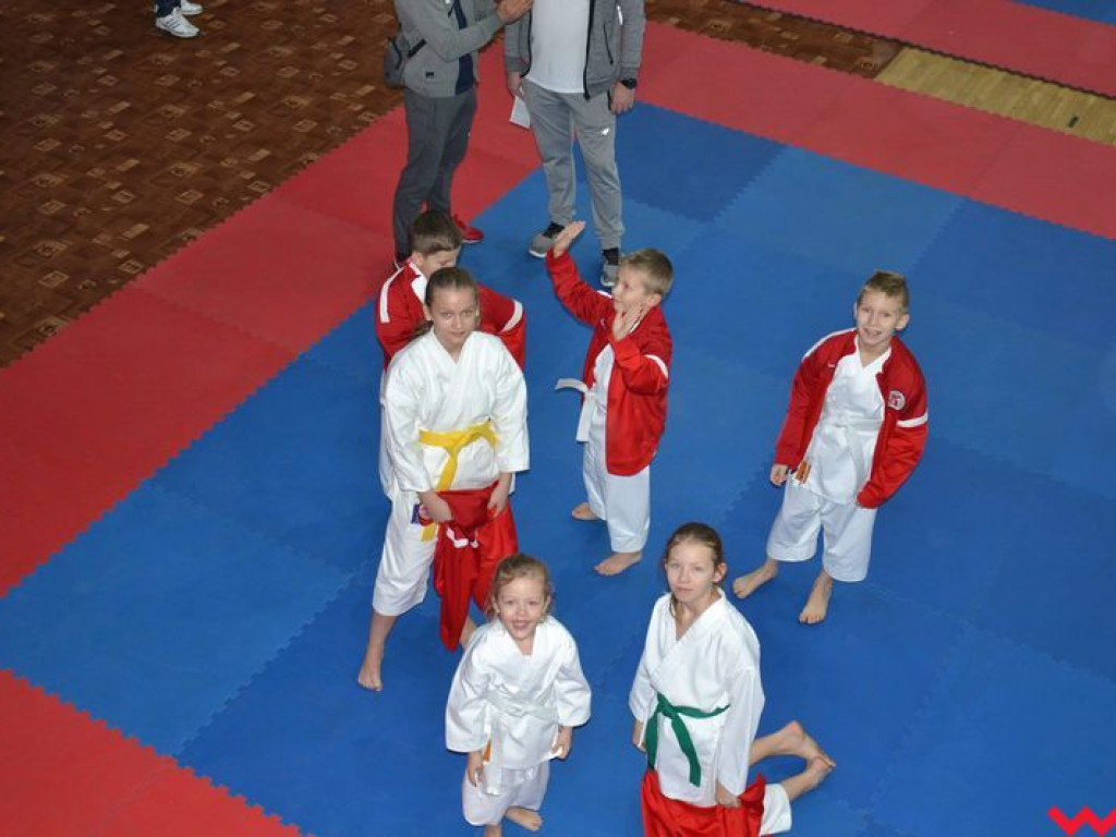 Kolejne miejsca na podium zawodników Wrzesińskiego Klubu Karate