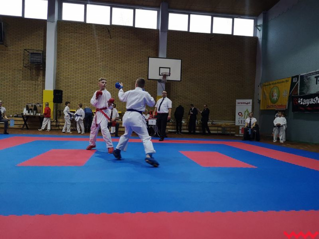 Kolejne miejsca na podium zawodników Wrzesińskiego Klubu Karate