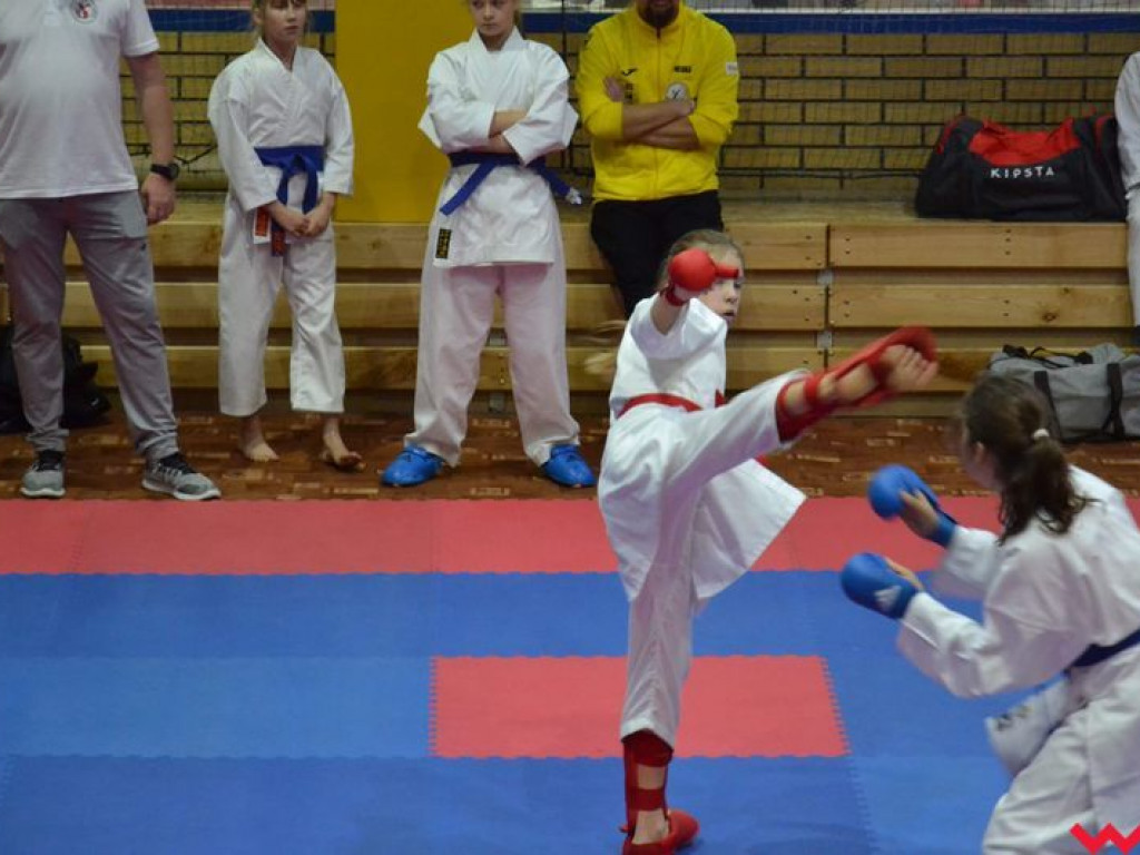 Kolejne miejsca na podium zawodników Wrzesińskiego Klubu Karate
